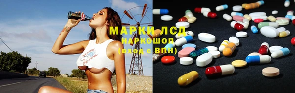 прущие грибы Армянск