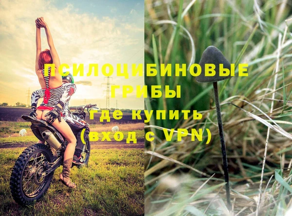 мдпв Арсеньев