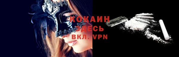 прущие грибы Армянск